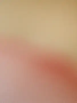 zhenzhen521 online show from 05/19/26, 03:18