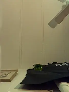 Snapshot of BobbyQ29 chatting on 12/02/25, 04:18 BobbyQ29 online show from 12/02/25, 04:18