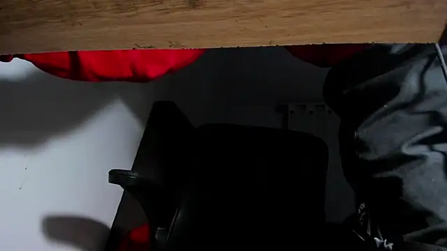 s sven03 online show from 12/09/24, 06:55