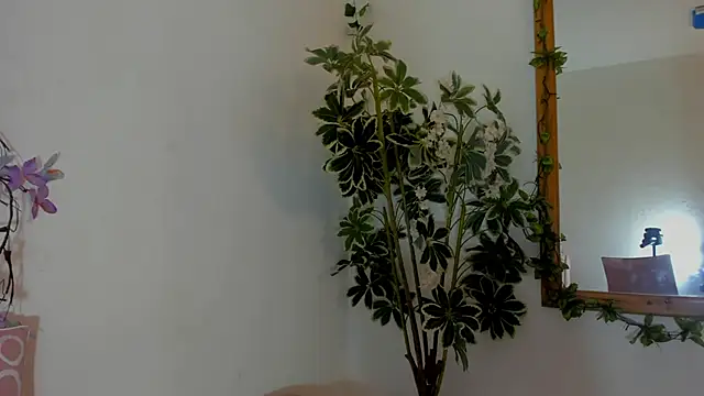 FaloonRoussel online show from 06/22/26, 06:27