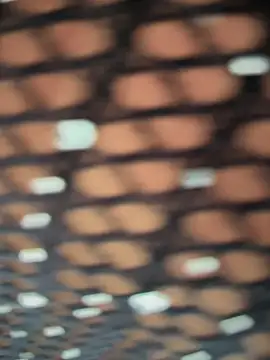 Snapshot of Rose-euphoria chatting on 11/05/25, 01:44 Rose-euphoria online show from 11/05/25, 01:44