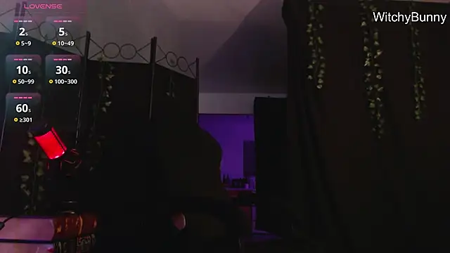 Snapshot of witchybunny chatting on 12/31/24, 10:58 witchybunny online show from 12/31/24, 10:58