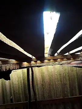 HotSexyBoudi online show from 09/29/25, 08:41