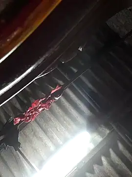 Snapshot of HotSexyBoudi chatting on 11/04/25, 08:46 HotSexyBoudi online show from 11/04/25, 08:46