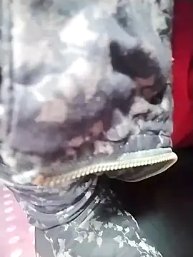 Snapshot of Dangky1 chatting on 02/03/25, 04:25 Dangky1 online show from 02/03/25, 04:25