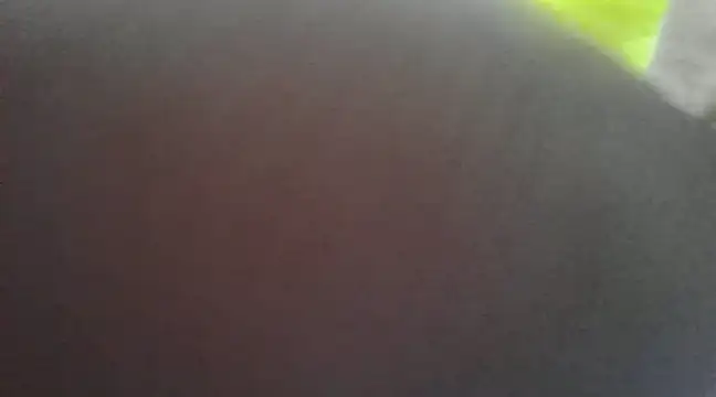 Snapshot of Chitrani- chatting on 01/16/25, 09:37 Chitrani- online show from 01/16/25, 09:37