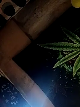 Snapshot of ySqmbVanbe chatting on 10/17/25, 02:41 ySqmbVanbe online show from 10/17/25, 02:41