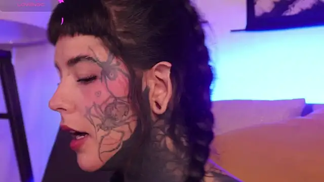 SylveonFox online show from 09/23/25, 11:13