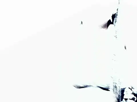 HotJeylee online show from 02/04/25, 12:22