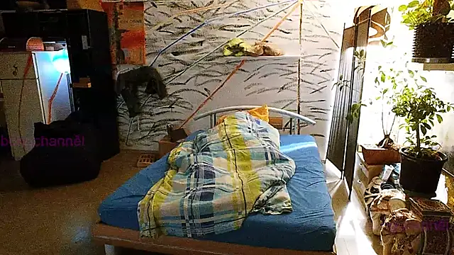 Snapshot of BongChannel chatting on 12/31/24, 10:58 BongChannel online show from 12/31/24, 10:58