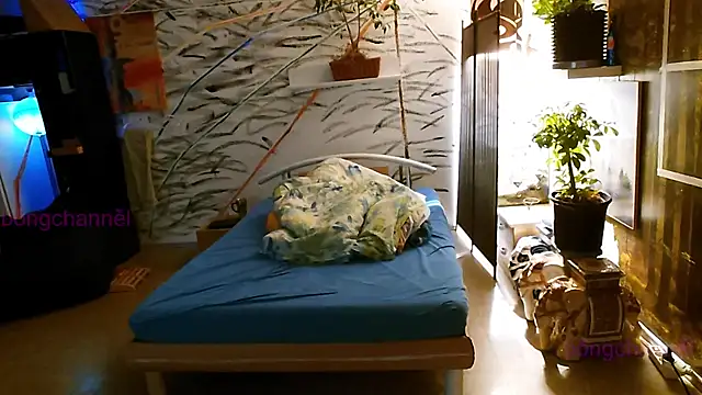 Snapshot of BongChannel chatting on 01/02/25, 11:52 BongChannel online show from 01/02/25, 11:52