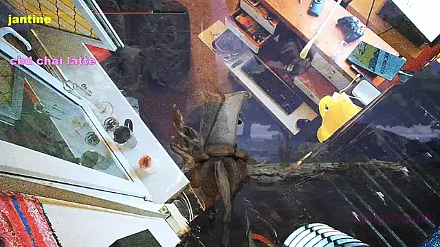 Snapshot of BongChannel chatting on 03/09/25, 03:54 BongChannel online show from 03/09/25, 03:54