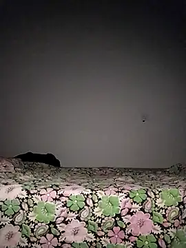 Snapshot of Sexygarl1024 chatting on 10/08/25, 09:34 Sexygarl1024 online show from 10/08/25, 09:34