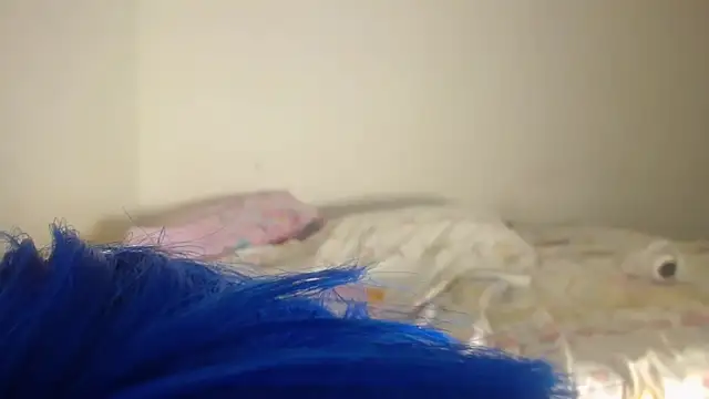 barbara anal squirt  online show from 05/16/26, 12:29
