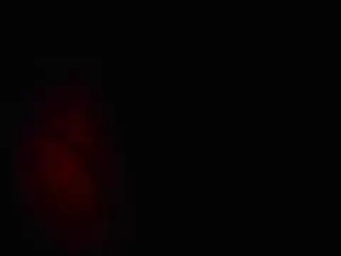 L0cKyseven77 online show from 02/01/25, 10:48