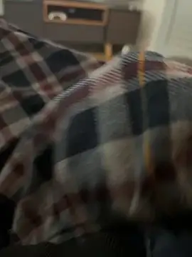 Snapshot of RowdyAlfie233 chatting on 02/06/25, 02:55 RowdyAlfie233 online show from 02/06/25, 02:55