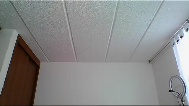 RossanaLionheart online show from 12/14/24, 07:03