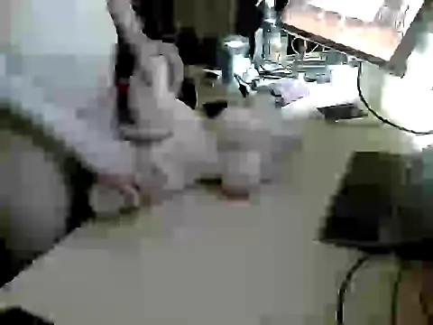 Snapshot of freaksofcock chatting on 03/14/26, 04:34 freaksofcock online show from 03/14/26, 04:34
