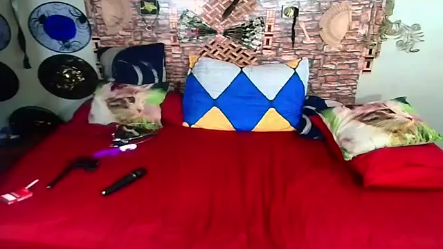 Indian Blaze00 online show from 10/04/25, 10:46