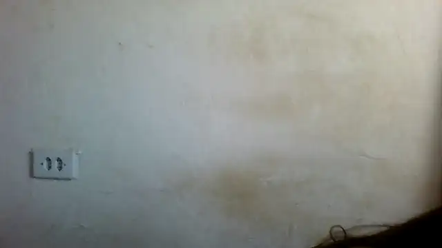 By Aninha online show from 02/22/25, 06:08