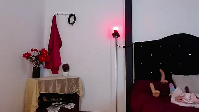 sirax66 online show from 02/13/25, 03:50