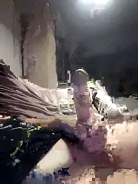 Bi-Sunny online show from 10/11/25, 04:44