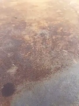 Snapshot of Black-mamba-madingo chatting on 09/28/25, 04:01 Black-mamba-madingo online show from 09/28/25, 04:01