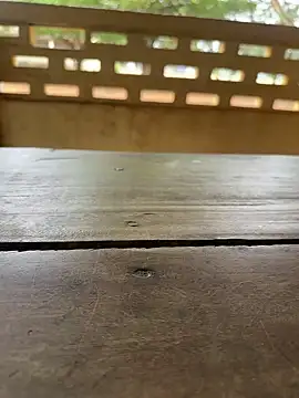 Snapshot of Black-mamba-madingo chatting on 09/29/25, 10:09 Black-mamba-madingo online show from 09/29/25, 10:09