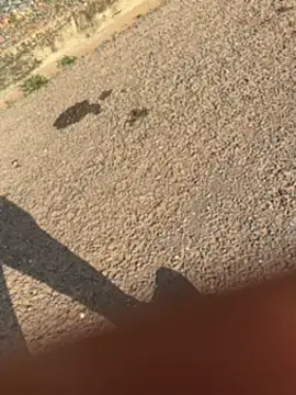 Snapshot of Black-mamba-madingo chatting on 09/30/25, 03:39 Black-mamba-madingo online show from 09/30/25, 03:39