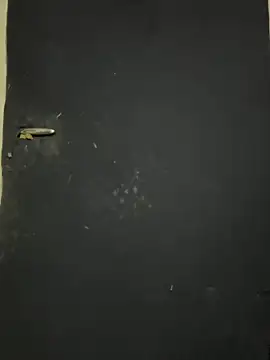 Snapshot of Black-mamba-madingo chatting on 10/09/25, 12:25 Black-mamba-madingo online show from 10/09/25, 12:25