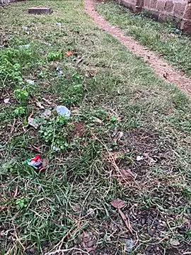 Snapshot of Black-mamba-madingo chatting on 10/29/25, 05:14 Black-mamba-madingo online show from 10/29/25, 05:14