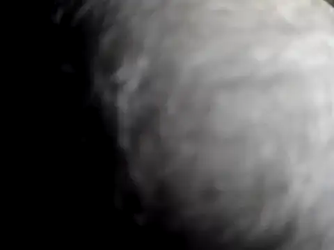 sohorneydad13 online show from 07/13/26, 03:09