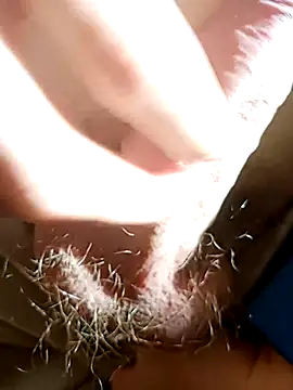 NudeYogaBoy online show from 01/07/25, 12:31