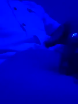 Snapshot of montereal1212 chatting on 12/02/24, 03:04 montereal1212 online show from 12/02/24, 03:04