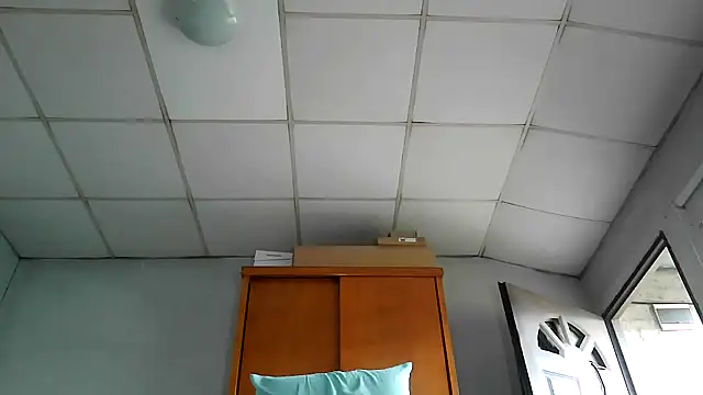 nicedick bro online show from 07/27/26, 06:26
