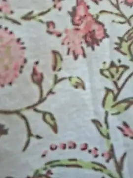 Priya Bong online show from 06/24/26, 01:26