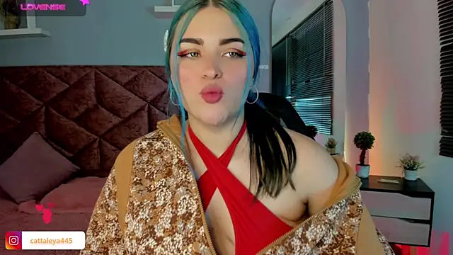 cattaleya    online show from 01/16/25, 06:25