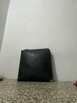 Snapshot of Ceninth chatting on 10/15/25, 09:26 Ceninth online show from 10/15/25, 09:26