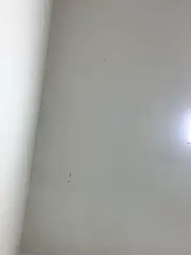 Snapshot of LinnaGardenia chatting on 10/01/25, 05:41 LinnaGardenia online show from 10/01/25, 05:41