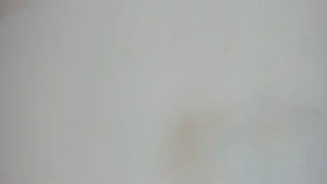 nami sam01 online show from 01/31/25, 11:56