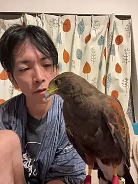 Katakuriko-Denpun online show from 07/19/26, 01:48
