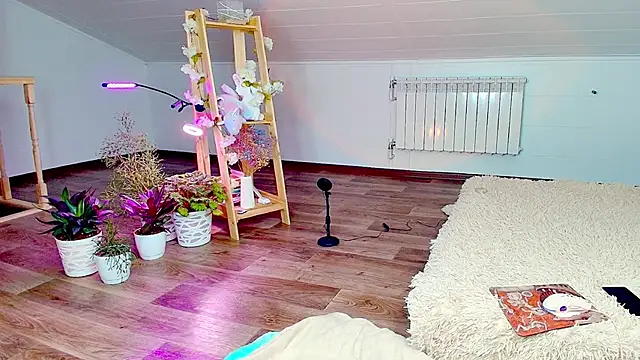 Meowroslava online show from 11/07/25, 09:31