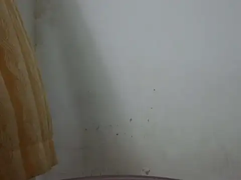 cutelady65 online show from 06/14/26, 02:41