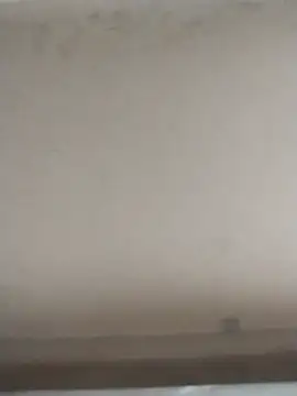 tatoocba88 online show from 11/28/25, 06:43