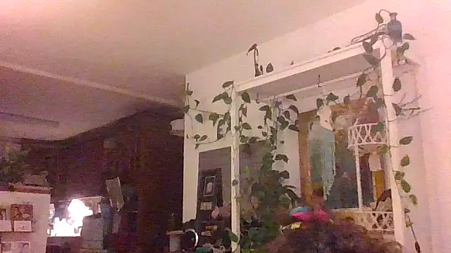 juicyrubies online show from 09/16/25, 05:58