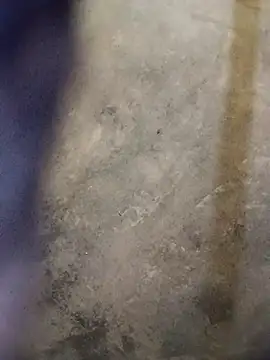 Yasha 14C Creator online show from 10/18/25, 10:05