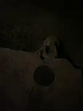 Snapshot of nowex18 chatting on 03/06/25, 06:52 nowex18 online show from 03/06/25, 06:52