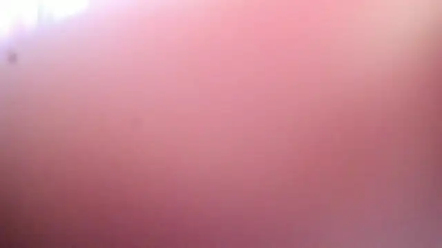 Dana Jeins online show from 07/29/26, 07:23