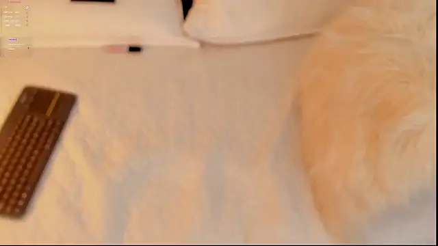 Snapshot of FabianPriince chatting on 01/14/25, 06:28 FabianPriince online show from 01/14/25, 06:28