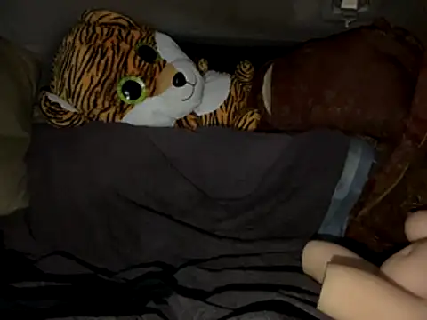 Snapshot of SlimeCrownzOut5 chatting on 11/17/25, 04:18 SlimeCrownzOut5 online show from 11/17/25, 04:18